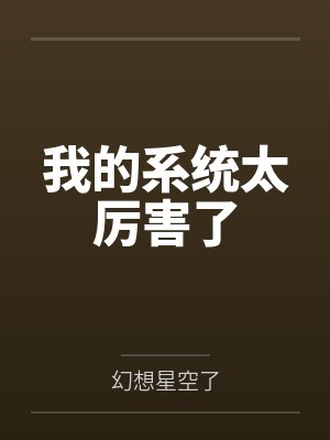 我的系统太厉害了