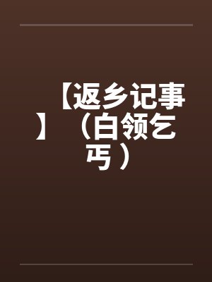 【返乡记事】（白领乞丐 ）